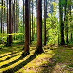 Grundlagen Naturschutz- und Planungsrecht
